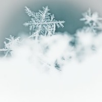 Winter Weather Warning In Effect