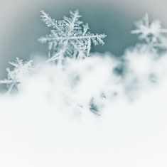 WINTER WEATHER WARNING IN EFFECT